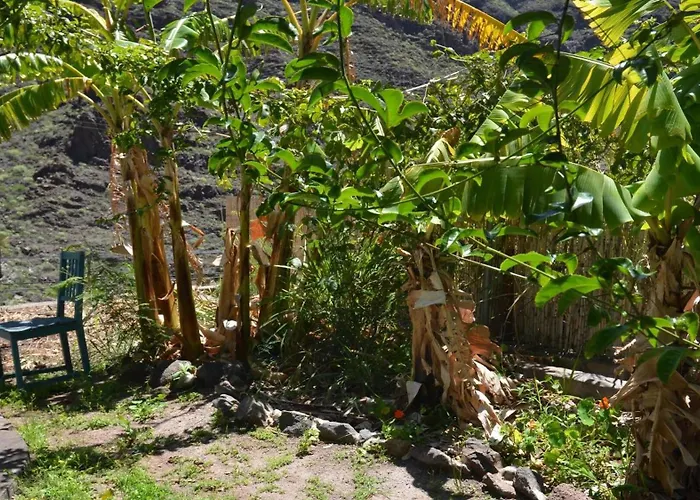 Dom wakacyjny Casa Corma *